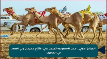 المراكز الأولى.. هجن السعودية تهيمن على افتتاح مهرجان ولي العهد في الطائف